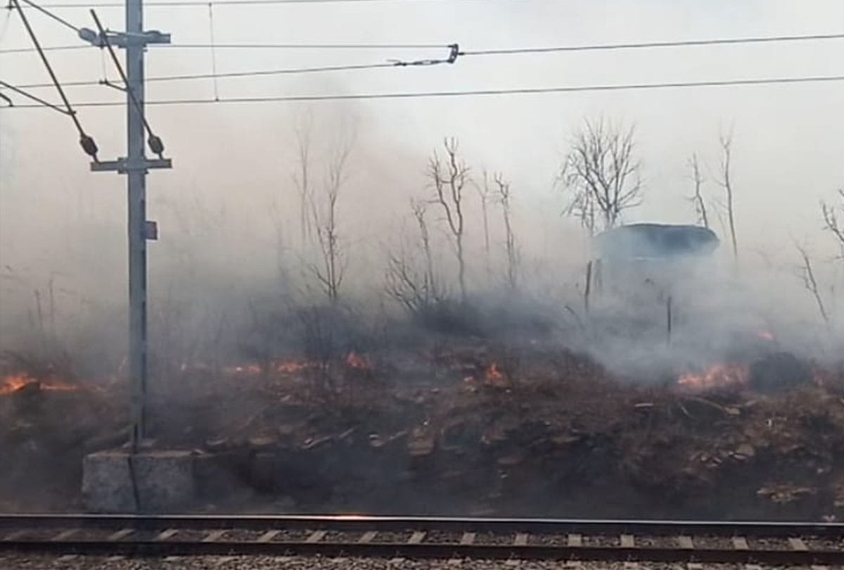 Fire reached the forests near the station of Bansa mountain in chitrakoot