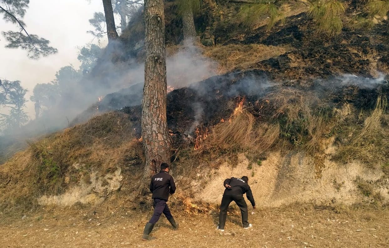 Forest Fire in Pithauragarh