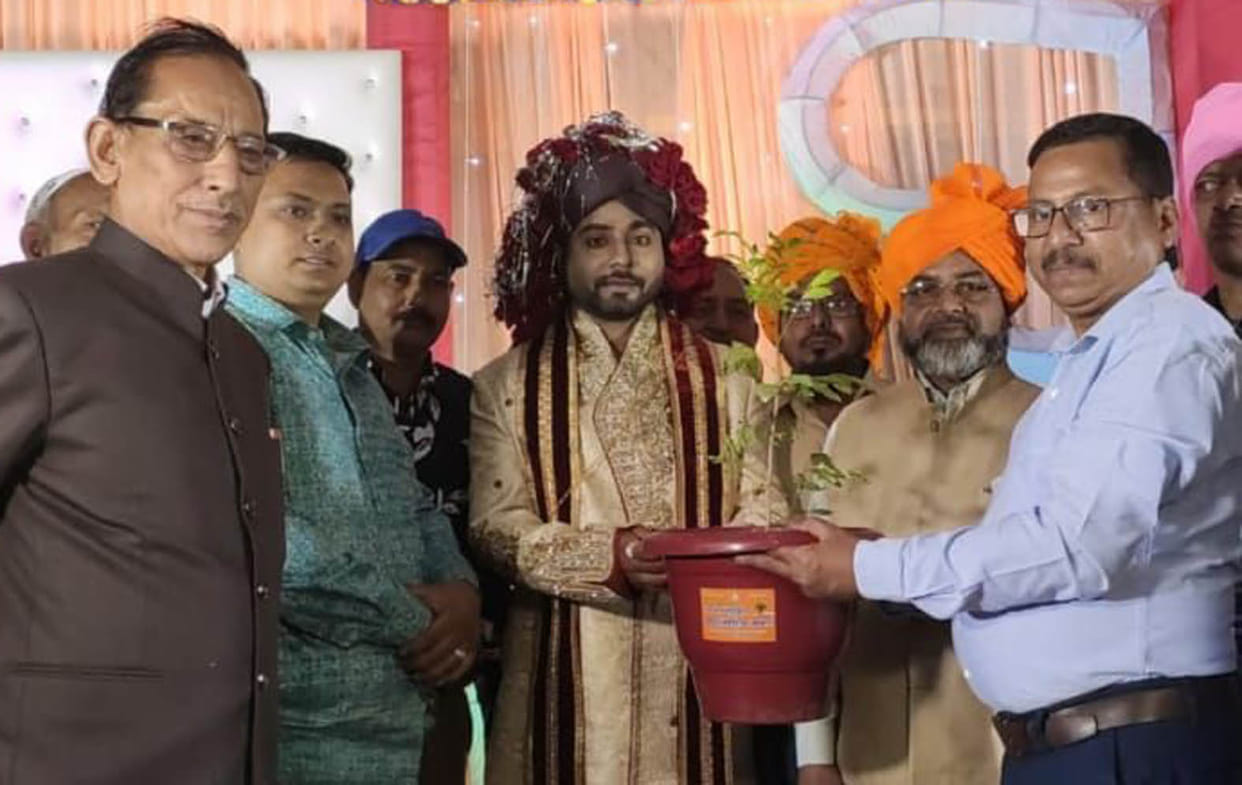 bjp,marriage,plant,tree,woman,man