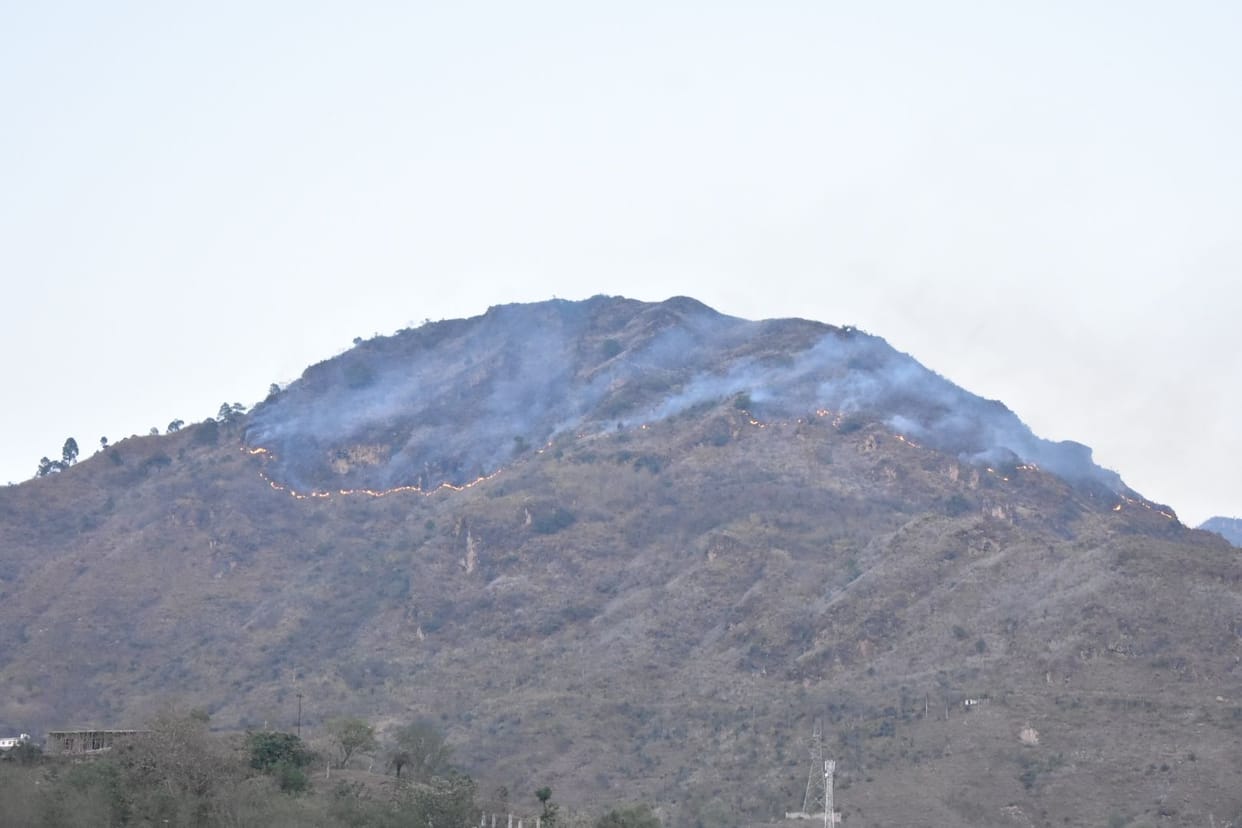 fire in jungle