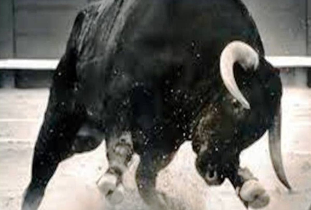 Unclaimed bull killed ex-serviceman working in the fields in bilaspur himachal