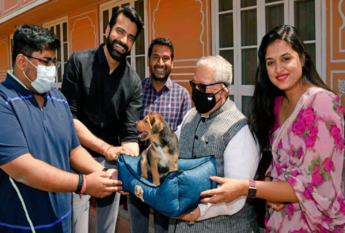 Rajasthan: Governor adopts abandoned dog, named 'Chintamani'