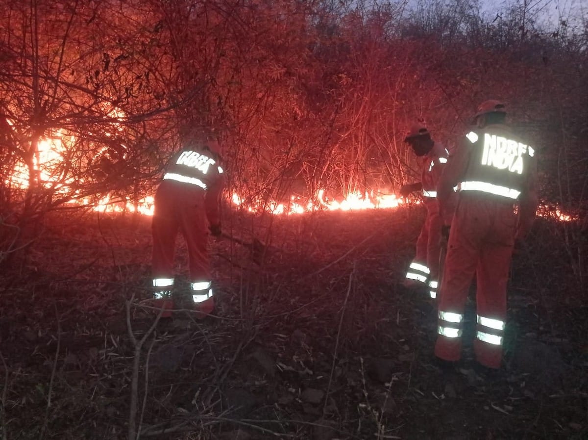 Fire in Mirzapur forests ndrf takes over with administration