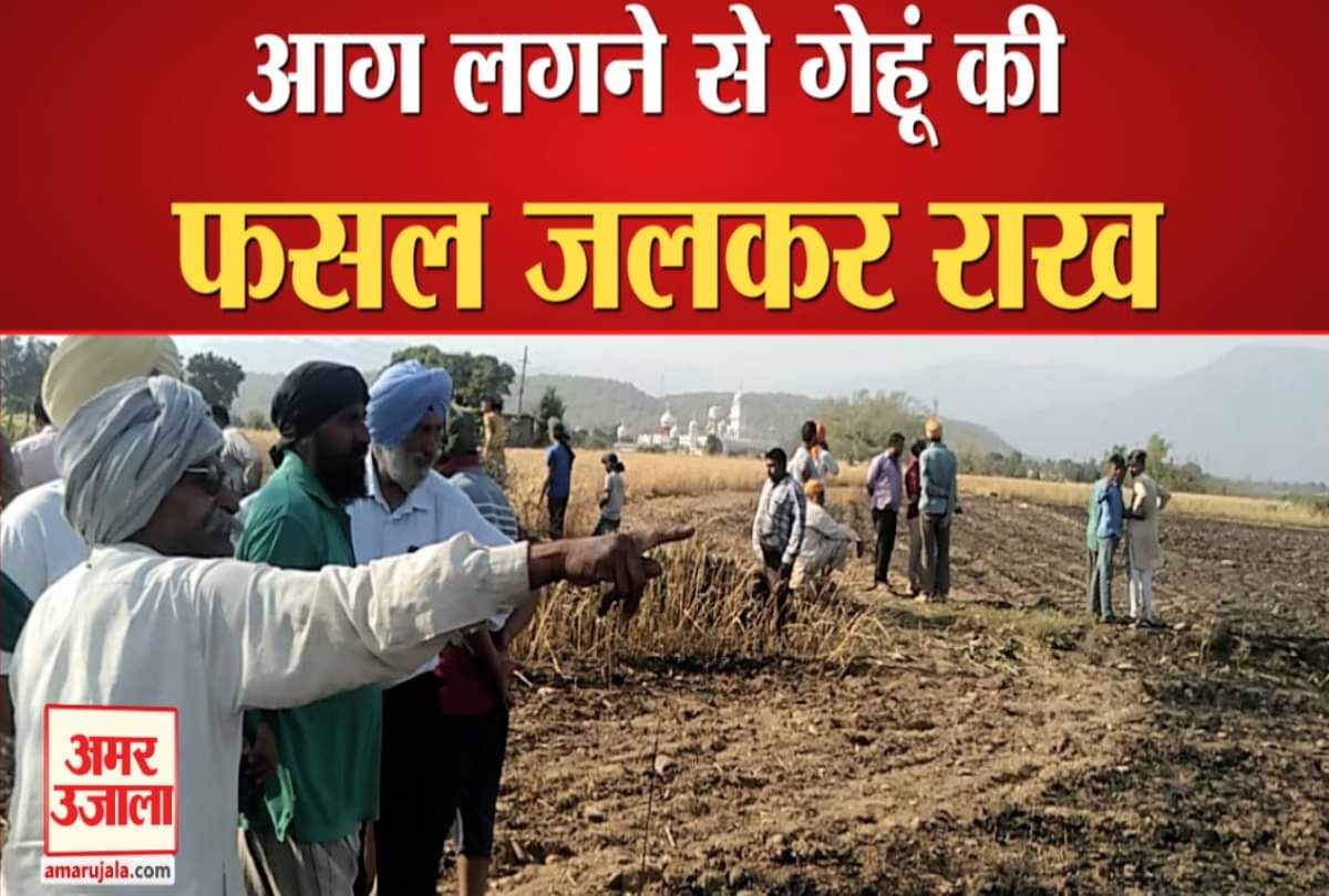 आग से गेहूं की फसल राख।