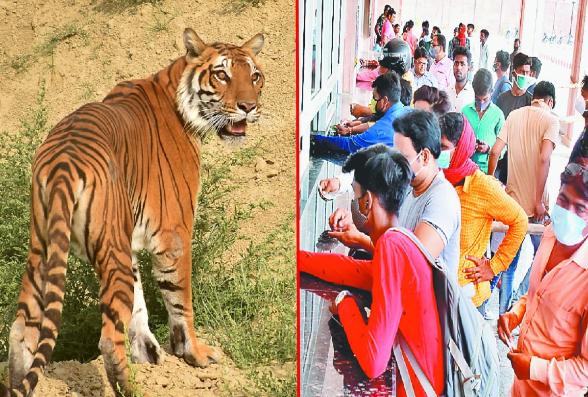 More than 13 thousand visitors reached Gorakhpur zoo