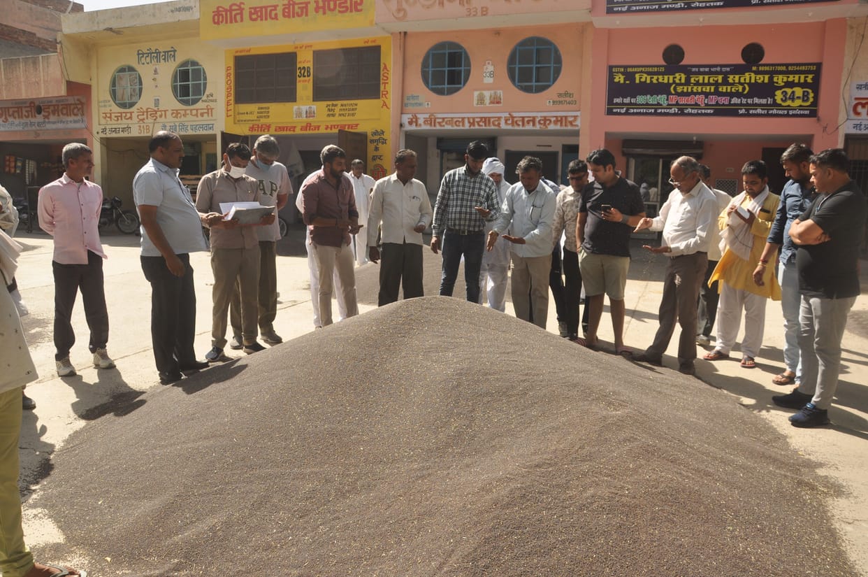 Mustard became gold for farmers