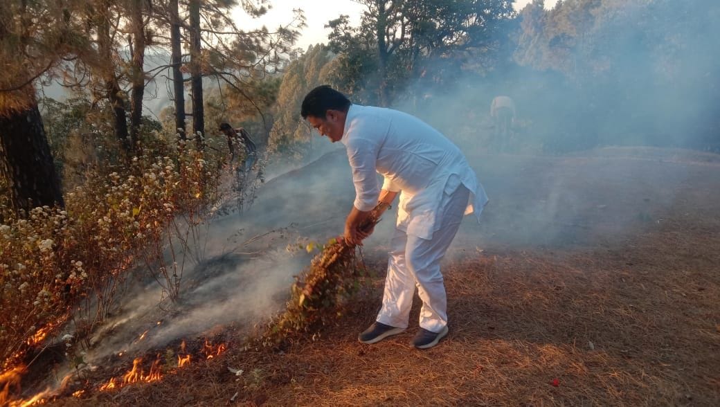 40 hectares of woods burnt to ashes