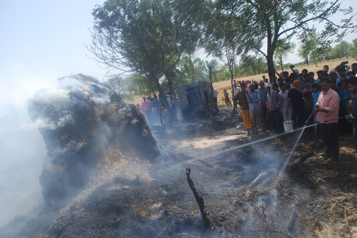 ten bigha wheat burn in field