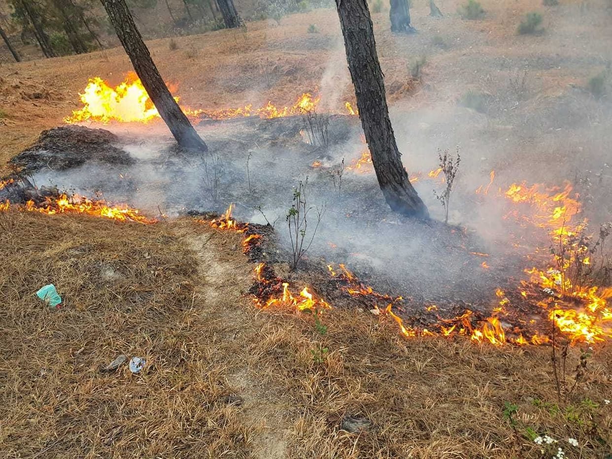 Wildfire reaches the Ramlila Maidan in Pati