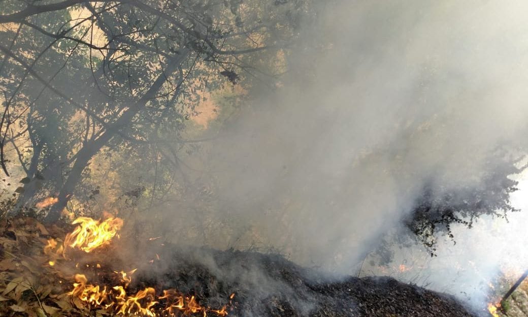 Forest Fire in Pithauragarh