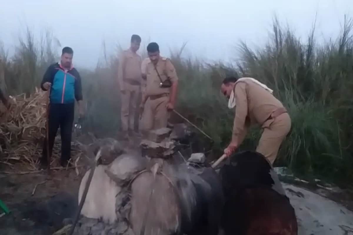 Panchayat Chunav: Hastinapur police raid in many village near ganga river and to destroy raw liquor and see photos