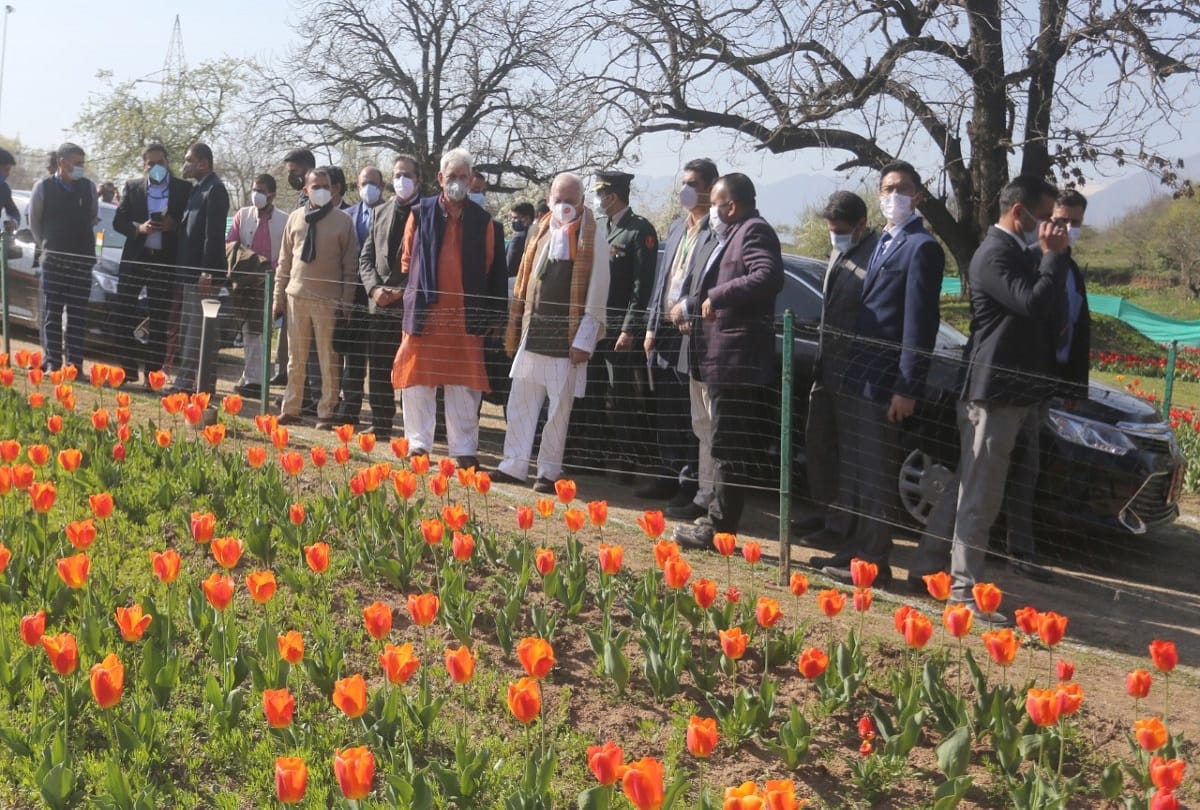 Tulip festival begins in Srinagar jammu kashmir festival was inaugurated by Lieutenant Governor Manoj Sinha