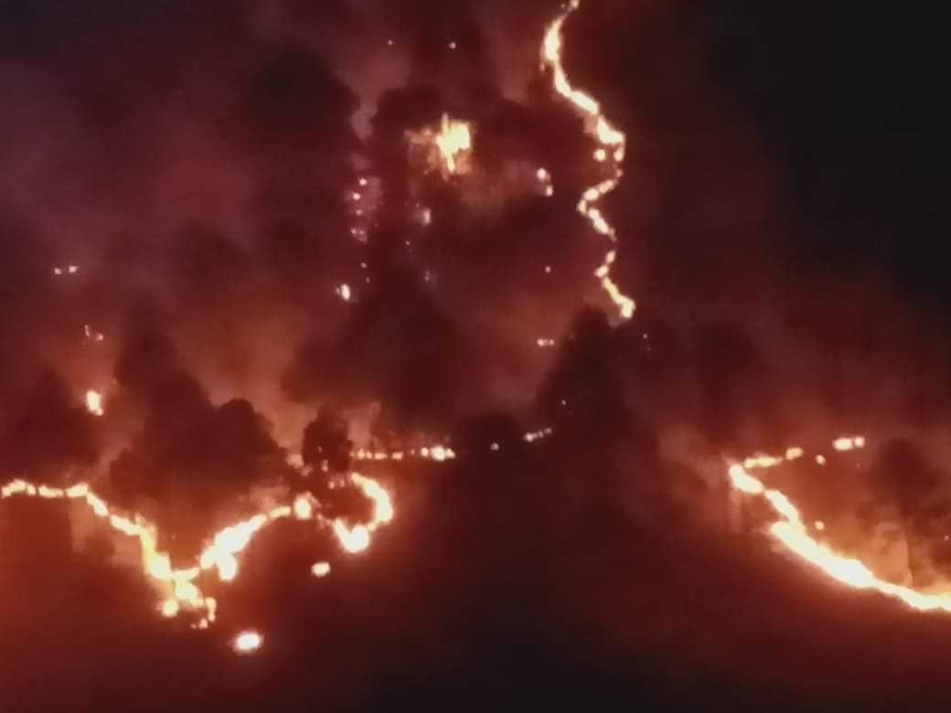 Fierce fire in Simkuna forests