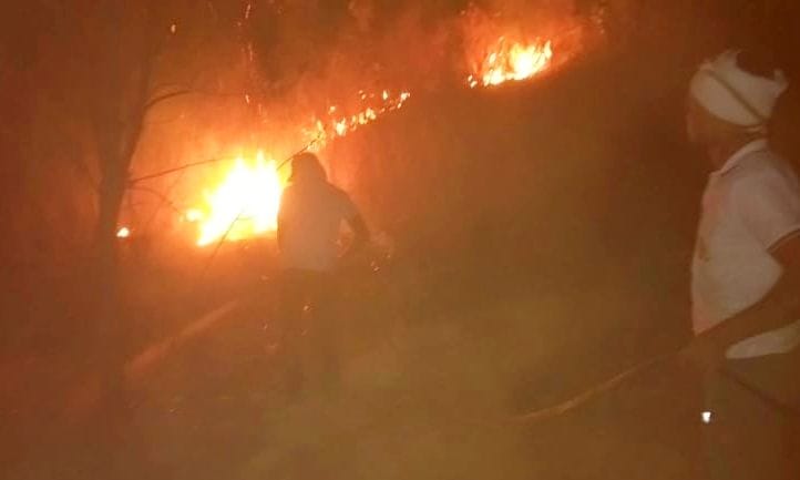 fire,train,forest,DM,DFO