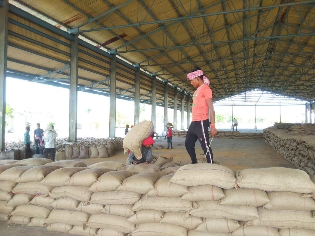 crop purchase, wheat purchase, farmers