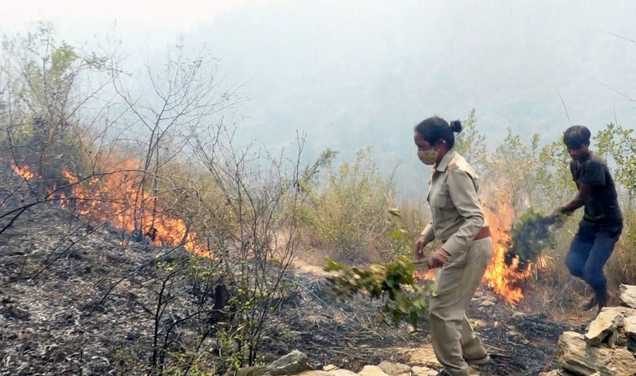 forests continued to burn in the Kirtinagar area on the seventh day