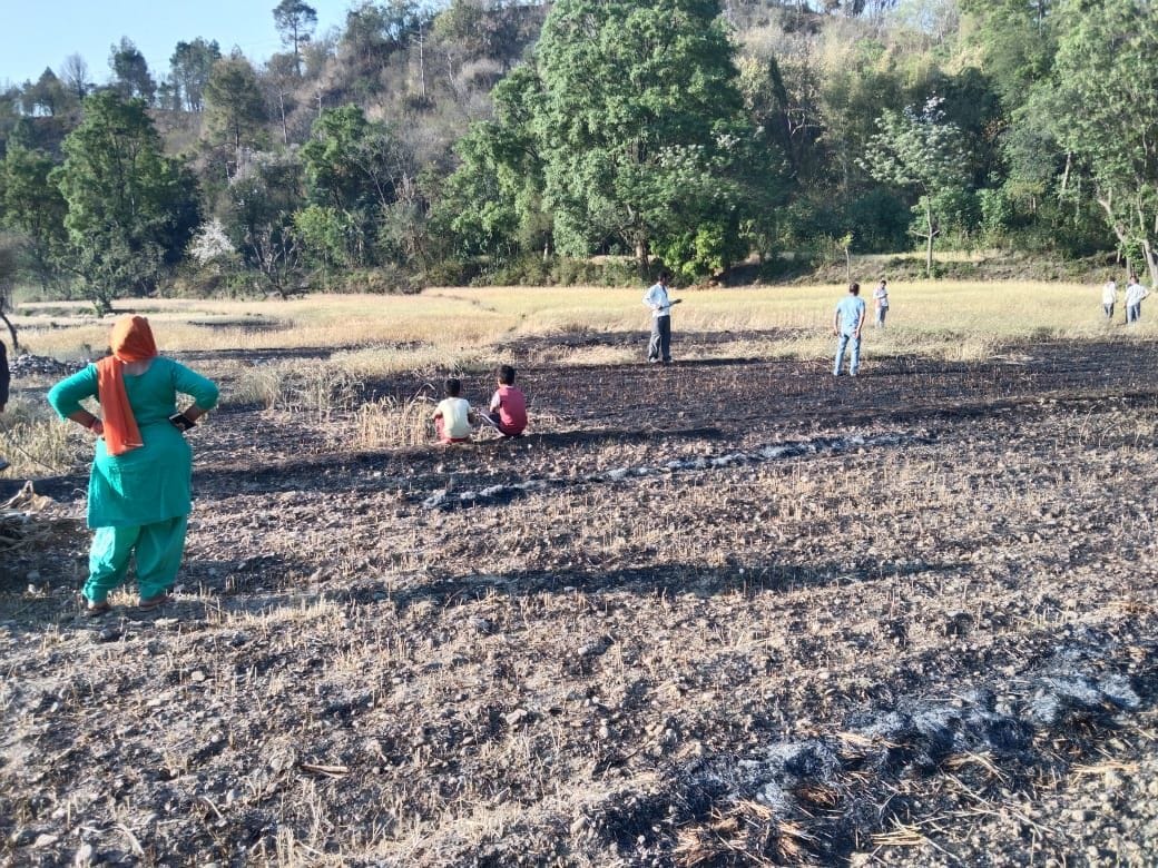 Mischievous elements burnt wheat crop, loss of thousands