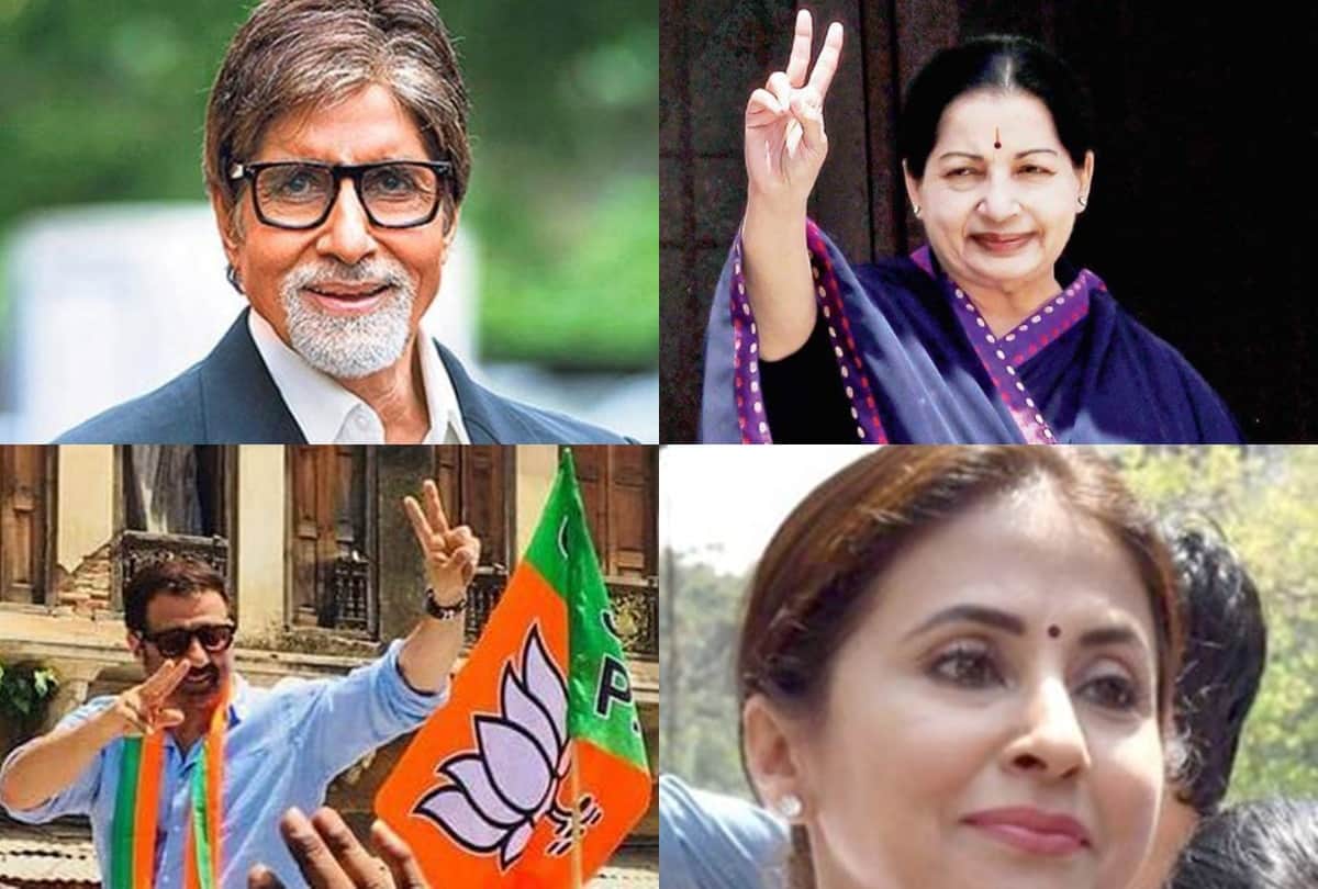 Amitabh Bachchan dharmendra sunny deol jaya urmila these bollywood actors and more entered in politics