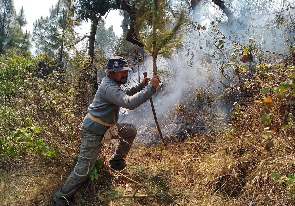 Burning 75.50 hectares of forest in Chamoli