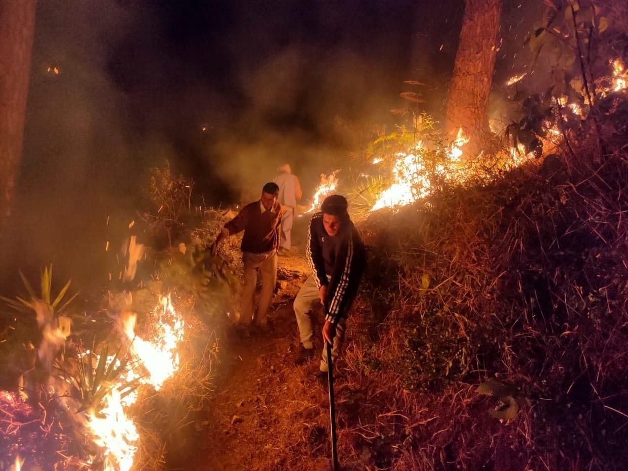 128 hectare of forest property damaged by fire in the district