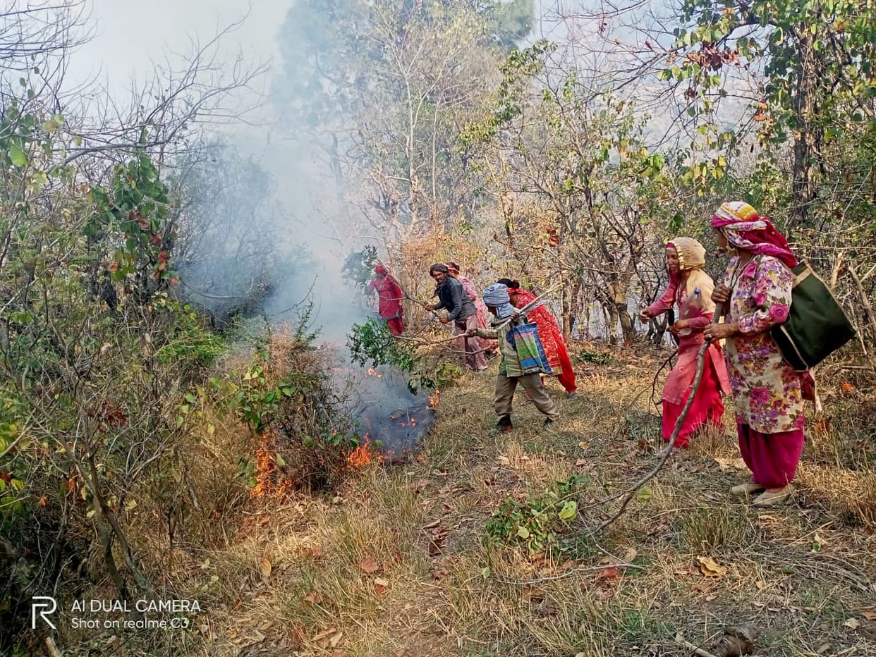 Ashes of wheat crop in 10 kanal fields due to fire