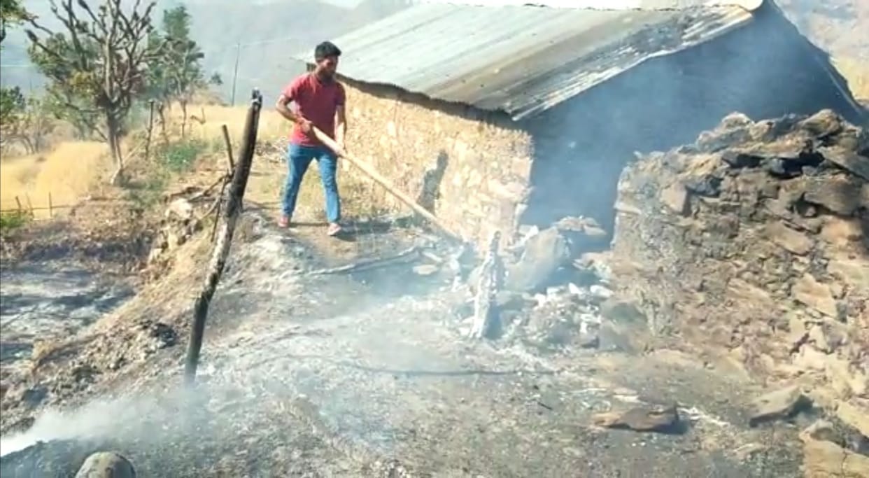 Forest fire reaches the fields, wheat crop burnt