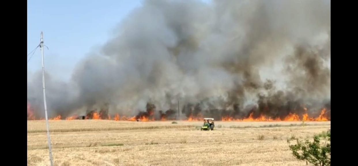 Farmers from four villages burnt 14 acres of wheat crop and 10 acres of ashes