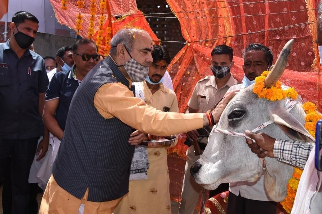 Become aware for cow protection