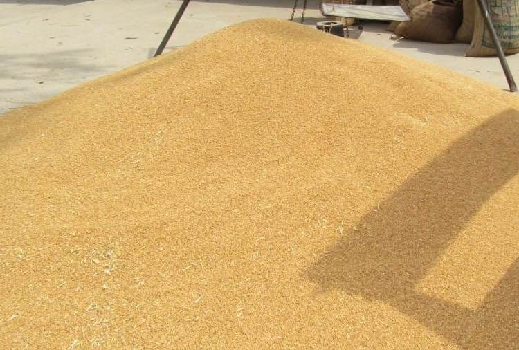 Good News for formers : Registration for crop sale started again in Haryana