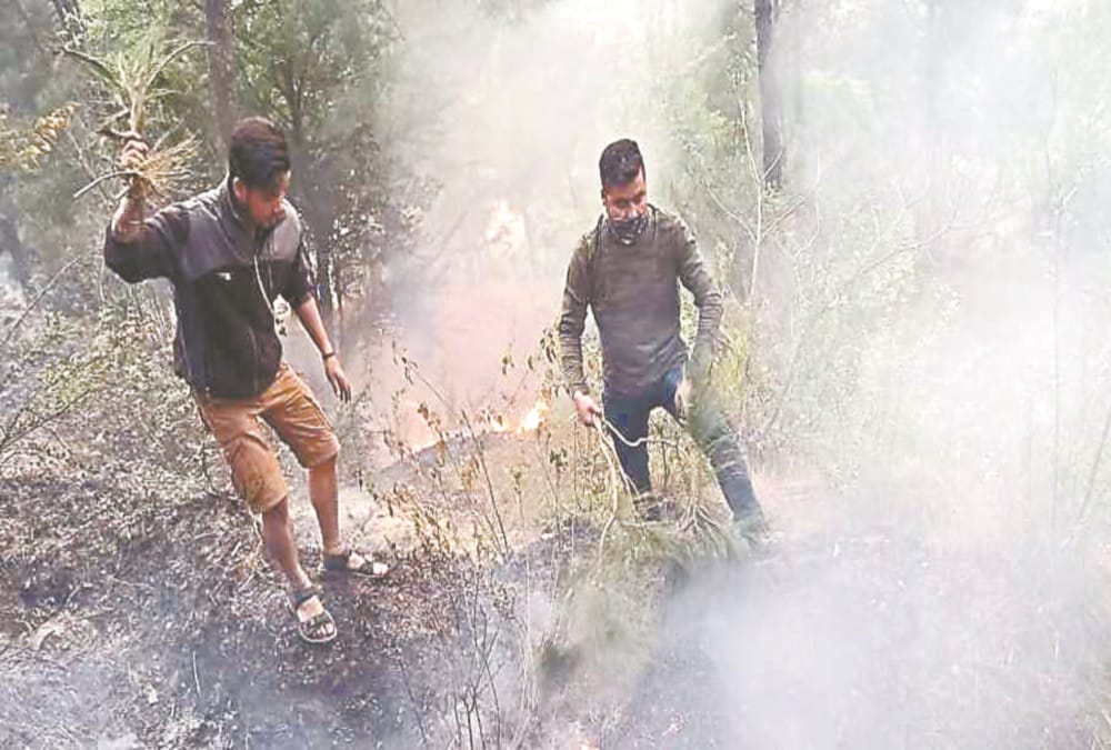 Uttarakhand Forest Fire News: Approx 105 hectares forest burned in 12 hours, now Keep Eye from satellite
