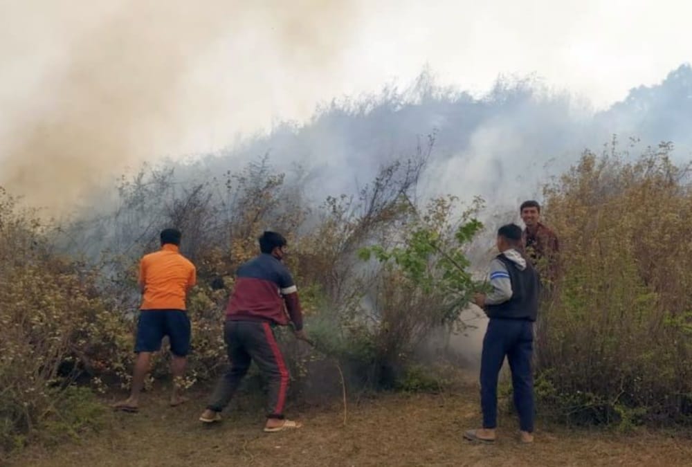 Uttarakhand Forest Fire News Today: Approx 94 hectares forest burned Even Rainfall