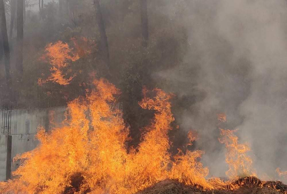Uttarakhand Wildfire News Today: 133 hectares of forest burned in 24 hours