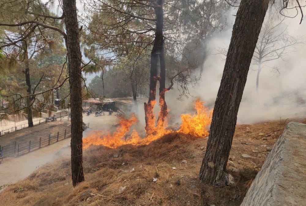 Uttarakhand Forest Fire News: Approx 105 hectares forest burned in 12 hours, now Keep Eye from satellite