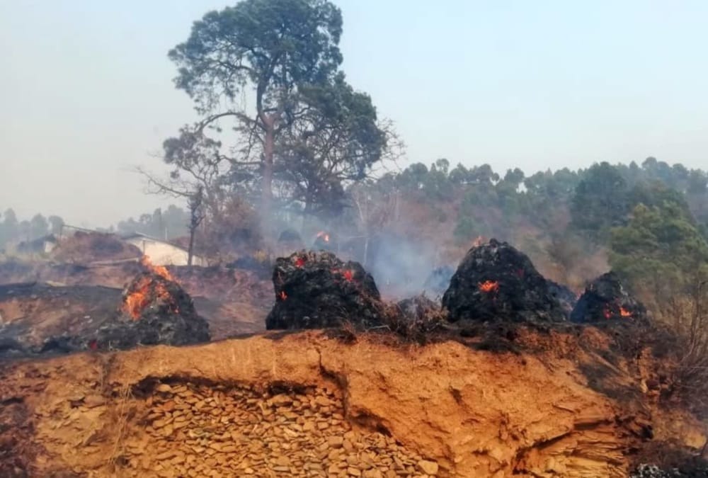 Uttarakhand News: wildfire Reached in populated area Now in Haldwani Photos