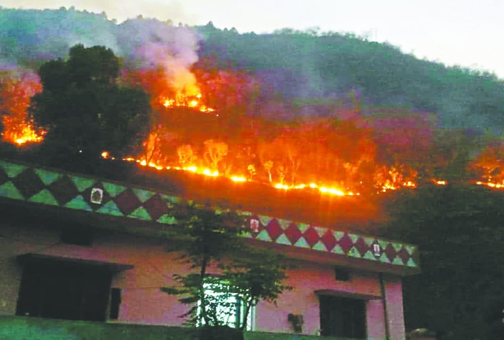 Uttarakhand News: Wildfire richest residential area in Almora