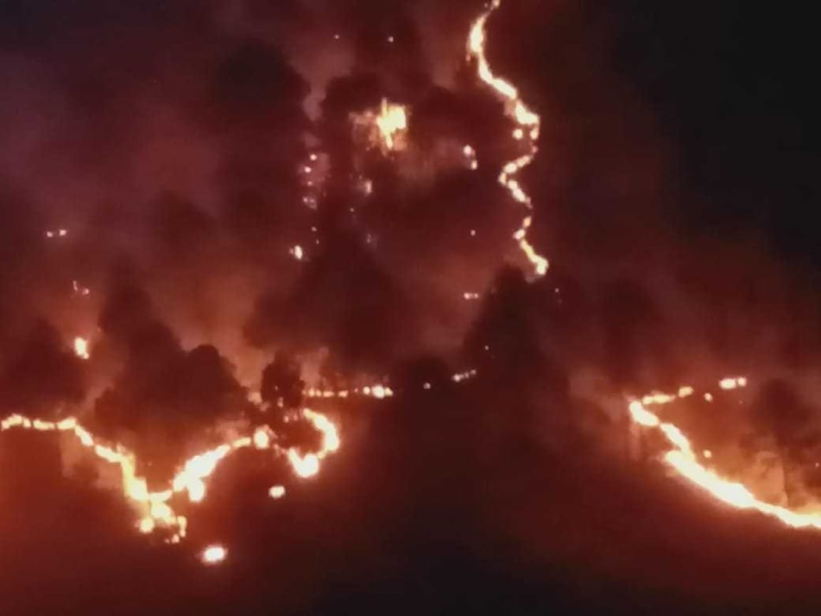 Wildfire in uttarakhand : horrific wildfire in uttarakhand forest watch photos