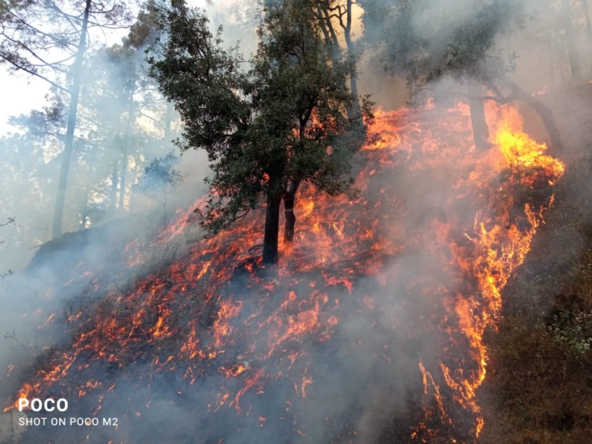 Wildfire in uttarakhand : inter college burnt in forest fire at kotdwar, photos