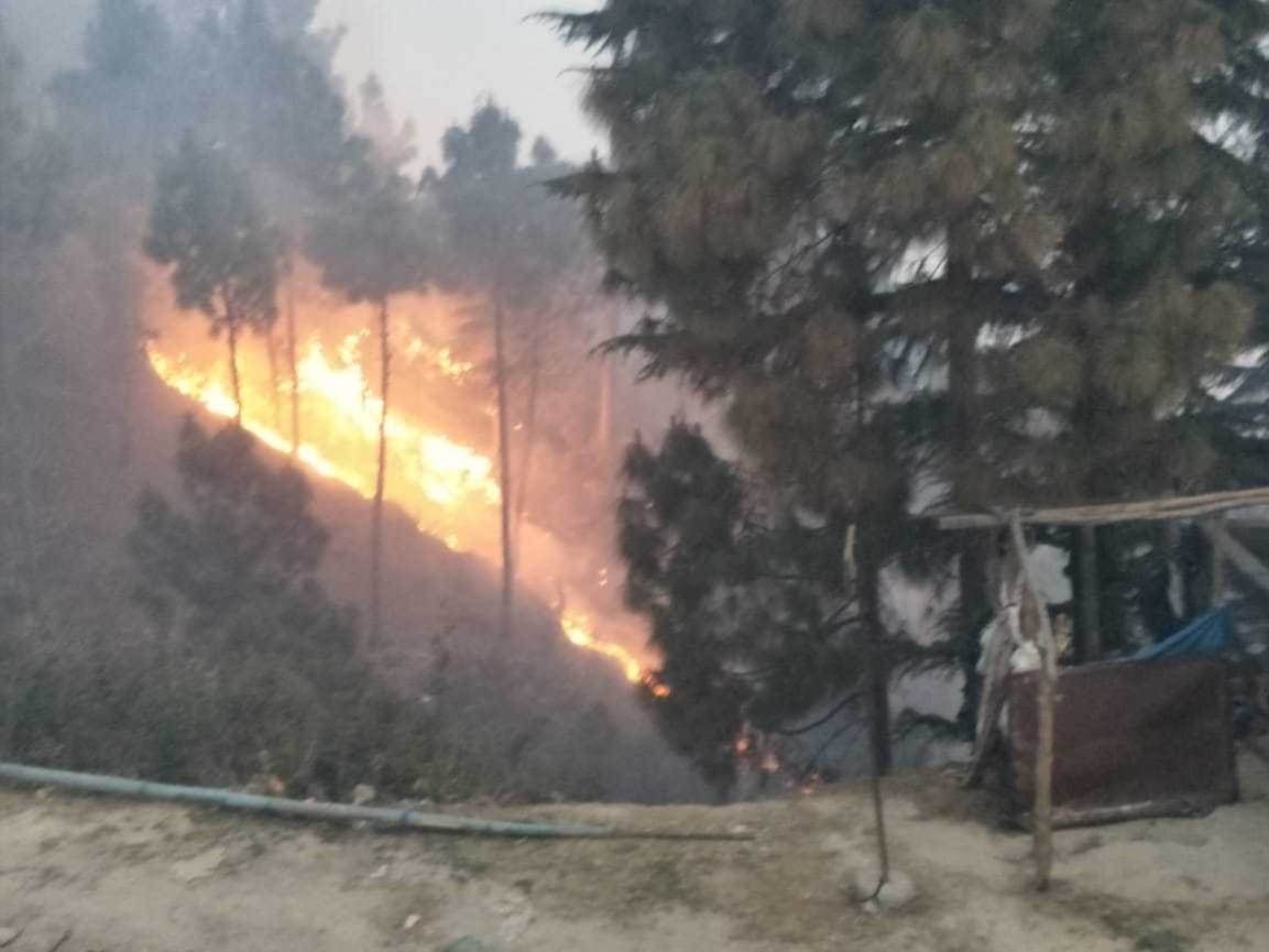 Wildfire in uttarakhand : inter college burnt in forest fire at kotdwar, photos