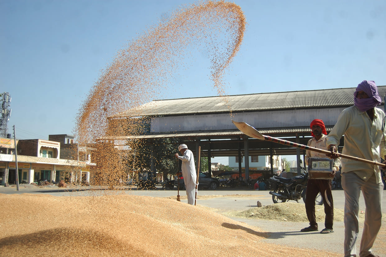 no purchaser in mandi, farmer's wait