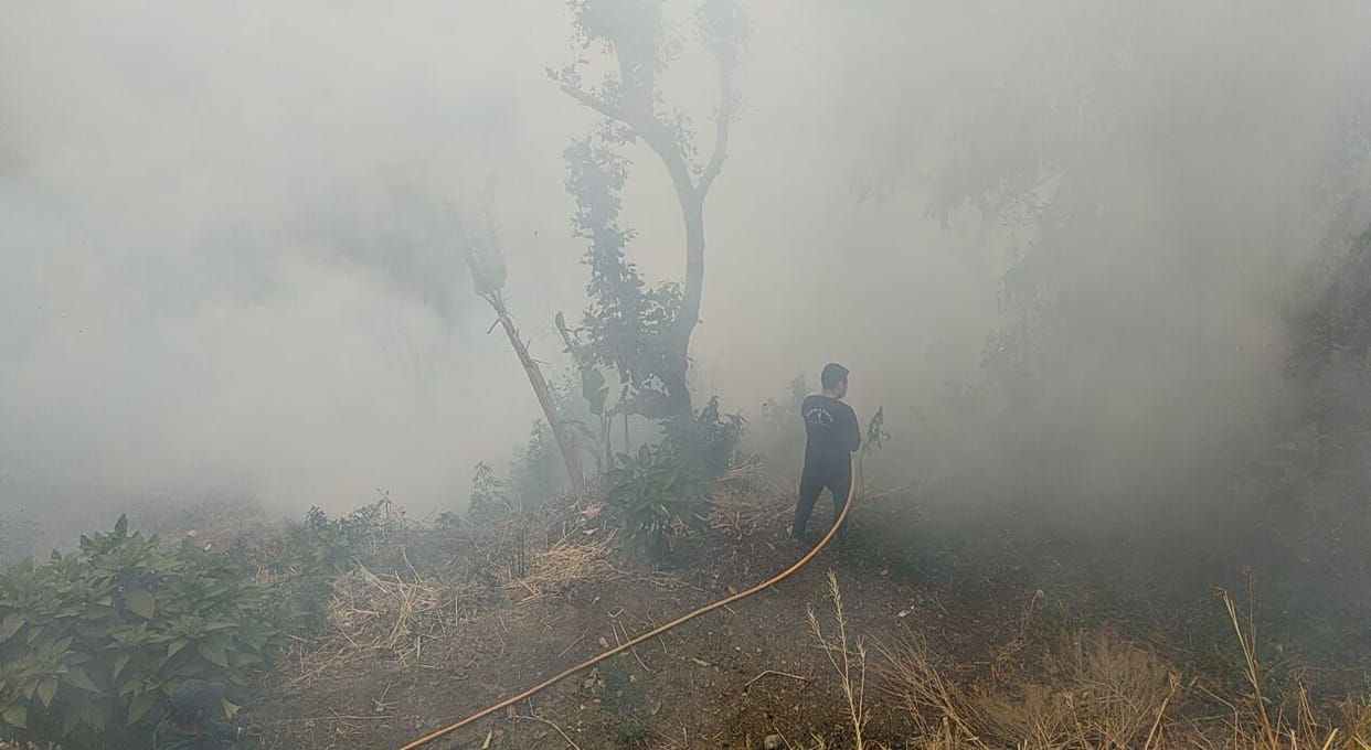 Forest fire near Laxmeshwar reaches residential area