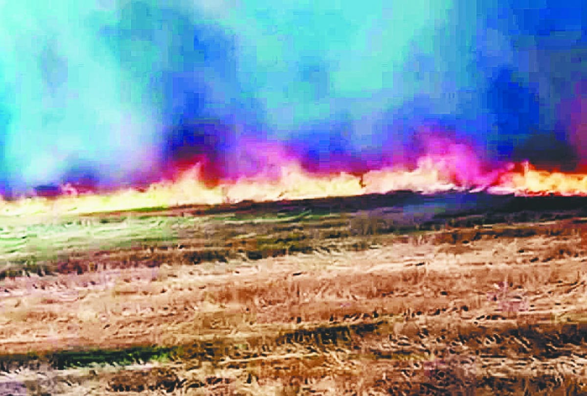 Farmers upset after crop destroyed due to fire in gorakhpur