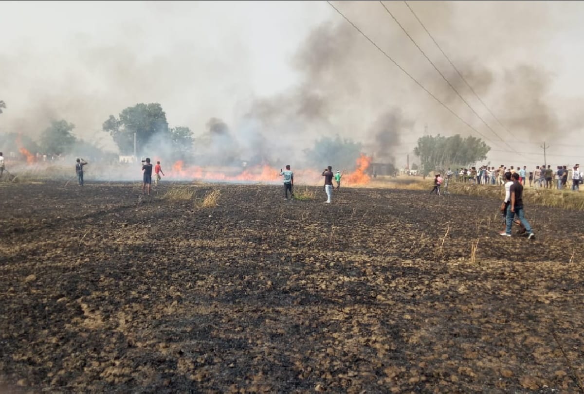 Farmers upset after crop destroyed due to fire in gorakhpur