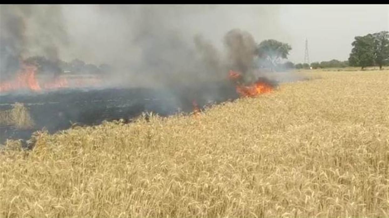 High fire wire fires in fields, crop burn