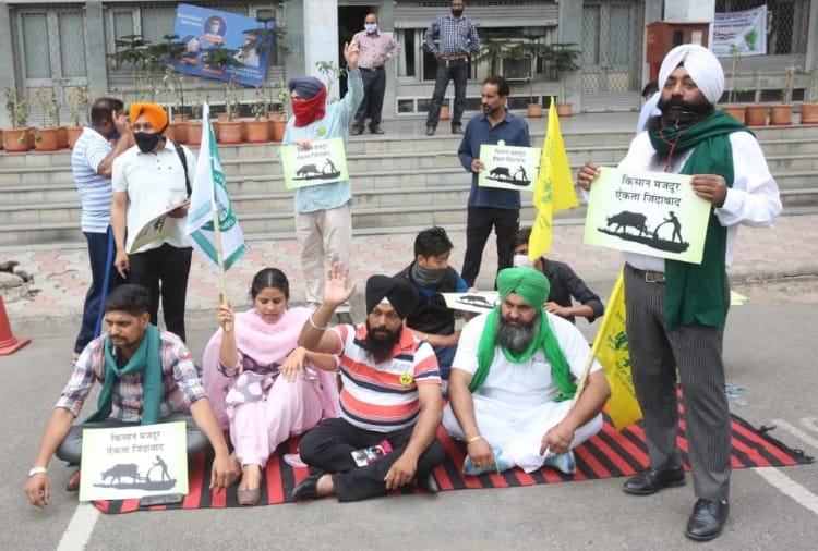 Farmers Protested Outside Food Corporation of India Office in Chandigarh 