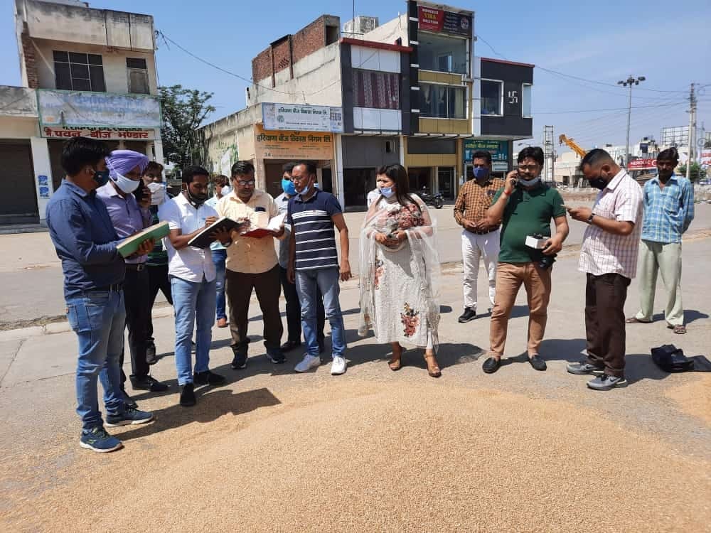 Wheat sale in 10 grain markets even on holiday