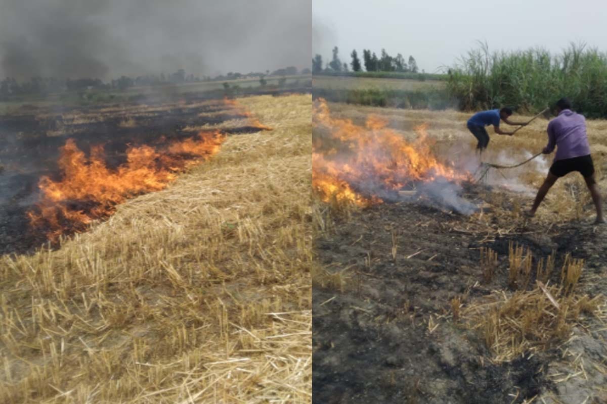 Fire broke out from century, many bigha wheat remains burnt