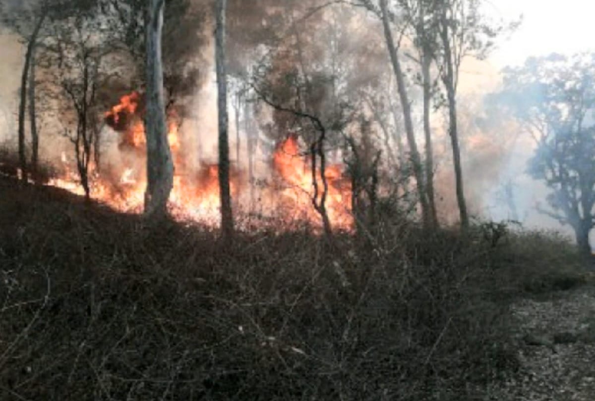 Due to heavy smoke while the forest fire in Siberia the Russian airport operations stalled