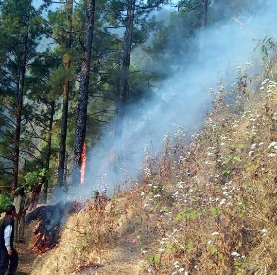 forests burning in many places in Chamoli