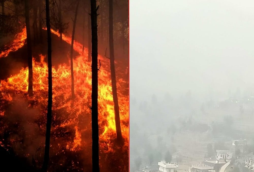 Uttarakhand News: Dense Mist from forest fire in Mountain Areas photos
