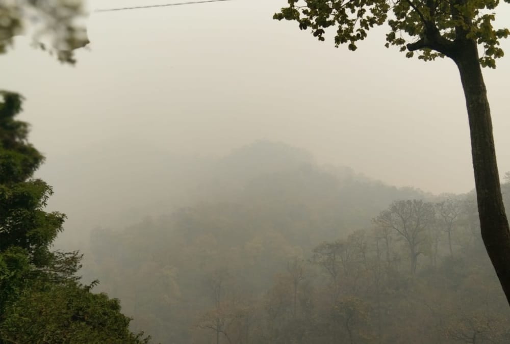 Uttarakhand News: Dense Mist from forest fire in Mountain Areas photos